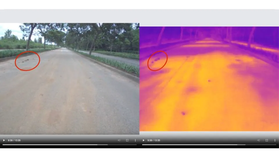Detailed scan highlighting undulations on a road surface.